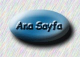 anasayfa